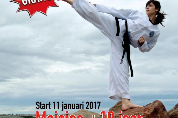 Taekwondo Poster