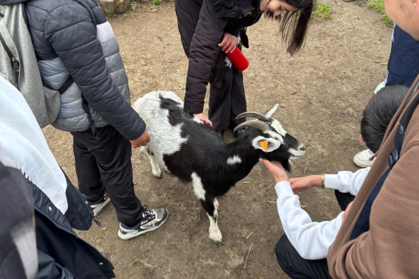 Lenteschool Kras